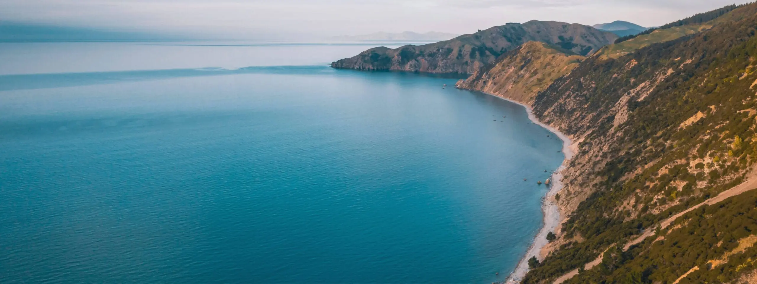 Vivir en Nelson, Nueva Zelanda